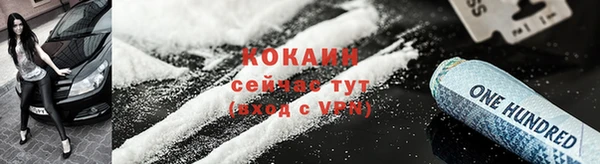 кокс Арсеньев