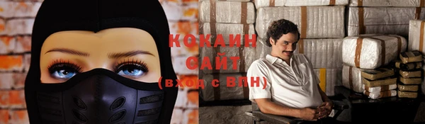 кокс Арсеньев