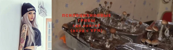 прущие крисы Аркадак
