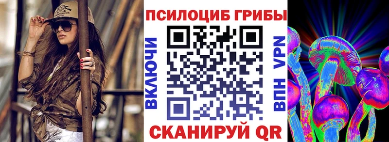 как найти   кракен сайт  Псилоцибиновые грибы Magic Shrooms  Сольвычегодск 