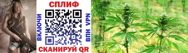 Бошки Шишки план  где продают   блэк спрут маркетплейс  Сольвычегодск 